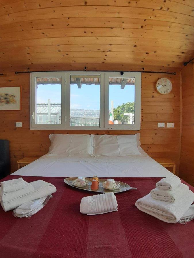 Casa Sanfe Apartment Albenga Bagian luar foto