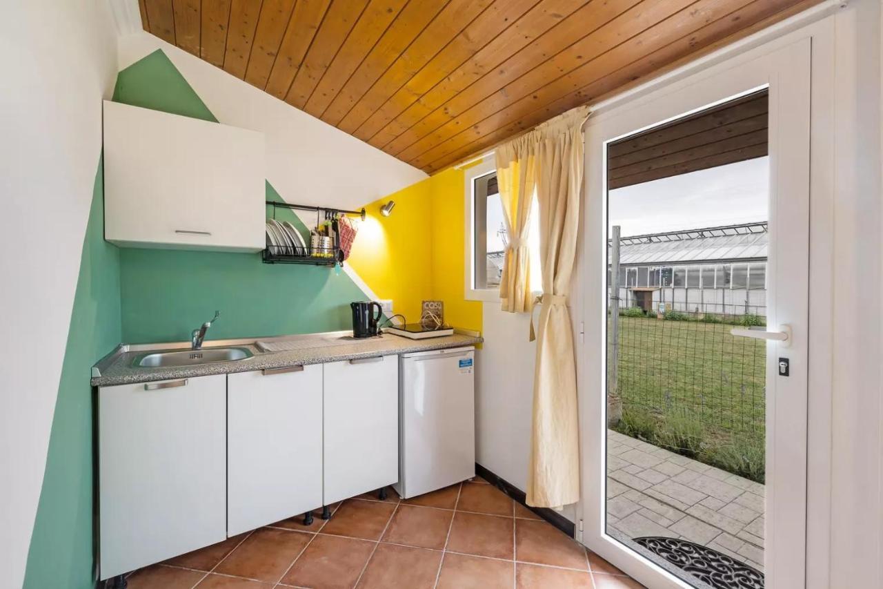 Casa Sanfe Apartment Albenga Bagian luar foto